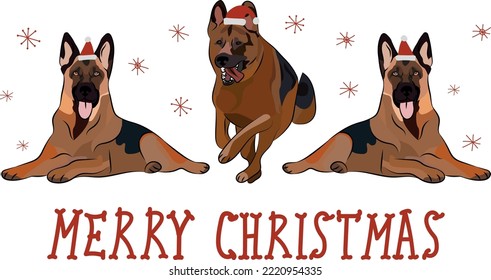 German Shepherd dog drawing. Cute dog characters in various poses, designs for prints, adorable and cute Christmas Alsatian breed cartoon vector set, in different poses in hats, smiling cute pet.