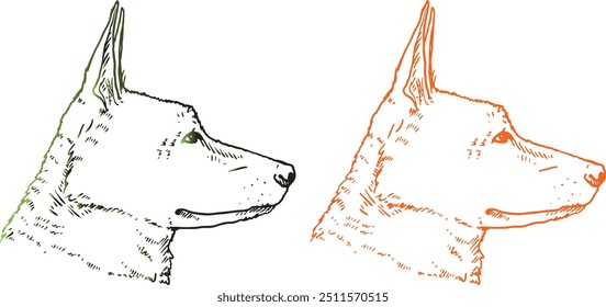 German shepherd dog head drawing pencil line art colorful art set premium quality blank background image