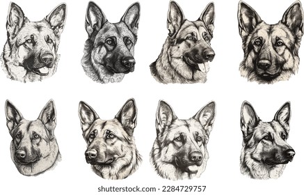 German Shepherd Dog Head, Freehand Drawing in Vintage Style Illustrations 