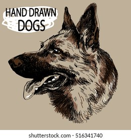 
German Shepherd. dog head freehand drawing in vintage style. Dog breeds.