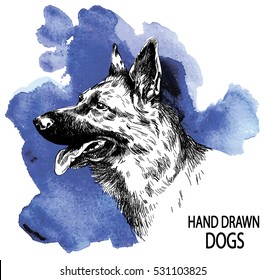 German Shepherd. dog head freehand drawing in vintage style. Dog breeds.