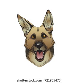 german shepherd dog illustration