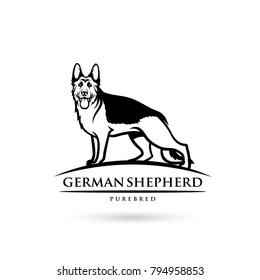 German Shepherd dog - isolated outlined vector illustration