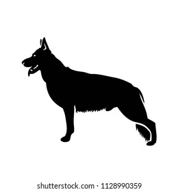 German Shepherd dog - isolated vector illustration