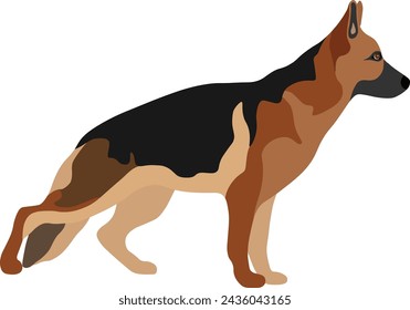 German Shepherd Dog Minimal Flat Vector Illustration