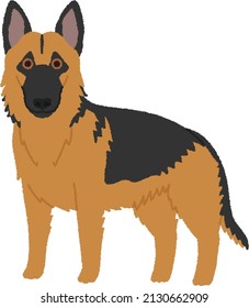 German Shepherd Dog is originally bred as a herding dog, for herding sheep. It has since been used in many other types of work, including disability assistance, search-and-rescue, police work.