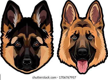 German shepherd dog portrait colored vector illustration