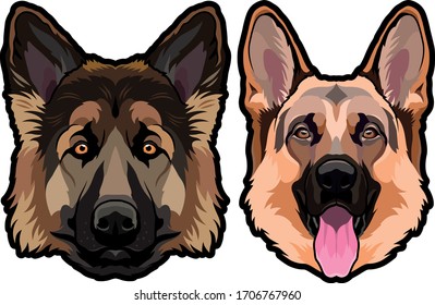 German shepherd dog portrait colored vector illustration