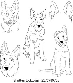German shepherd dog set. Set of german shepherd. Collection of purebred dogs. Vector drawing of a fur pet. Fluffty animals. Service puppy. Tattoo.