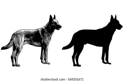 German Shepherd Dog Silhouette And Sketch Illustration - Vector
