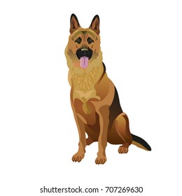 German shepherd dog sitting in front of a white background. Vector illustration