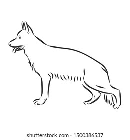 German Shepherd Dog Sketch, Contour Vector Illustration 