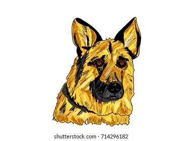 German shepherd dog vector 