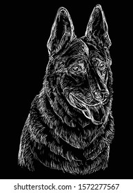 German Shepherd Dog vector hand drawing illustration in white color isolated on black background