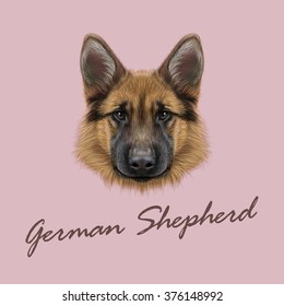 German Shepherd Dog. Vector Illustrated portrait of dog on pink background.