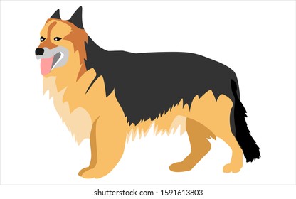 German shepherd dog vector illustration. 
