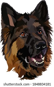 German Shepherd Dog. Vector Illustration