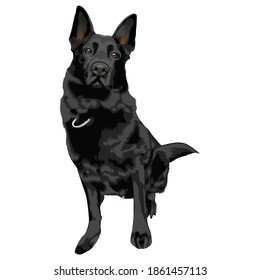 German Shepherd Dog vector illustration.