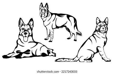 German Shepherd Dog vector. Illustration of playful, Hand drawn vector portrait