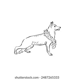 A German Shepherd dog wearing a feather boa. Black and white line drawing drawn by hand in a sketch style.