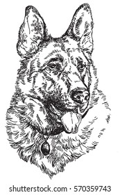 German shepherd Engraving vector hand drawing Illustration