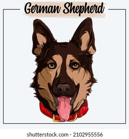 German shepherd face isolated with a red collar