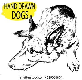 German Shepherd freehand drawing in vintage style. Dog breeds.