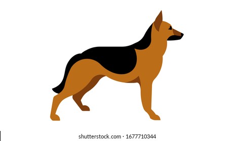 German Shepherd. Full height dog, silhouette. Vector isolated illustration of a thoroughbred dog.