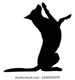 German Shepherd Funny Yoga Silhouette Vector, German Shepherd Dog Silhouette