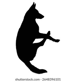 German Shepherd Funny Yoga Silhouette Vector, German Shepherd Dog Silhouette