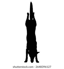 German Shepherd Funny Yoga Silhouette Vector, German Shepherd Dog Silhouette