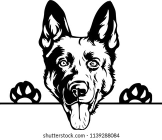 German Shepherd Guard Security dog breed face head isolated pet animal domestic pet canine puppy purebred pedigree hound portrait peeking paws smiling smile happy art artwork illustration design