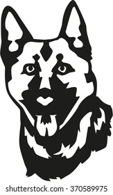 German Shepherd head