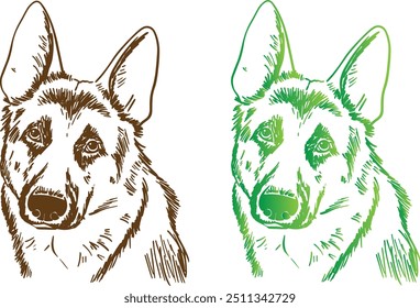 German shepherd head drawing pencil line colorful art set blank background nice image