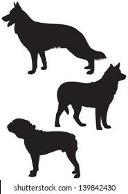 German shepherd, Husky and American Bulldog Dog breeds vector Silhouettes