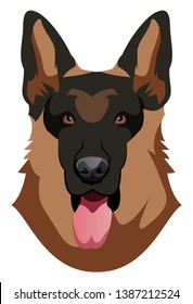 German Shepherd illustration vector on white background