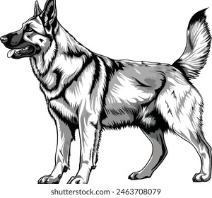 German Shepherd objects silhouette illustration