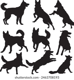 German Shepherd objects silhouette illustration