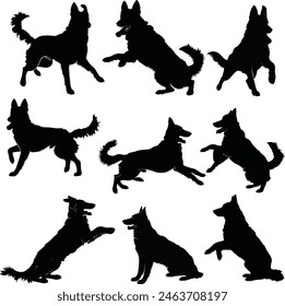 German Shepherd objects silhouette illustration