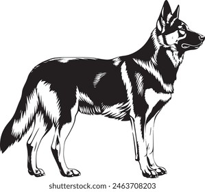 German Shepherd objects silhouette illustration