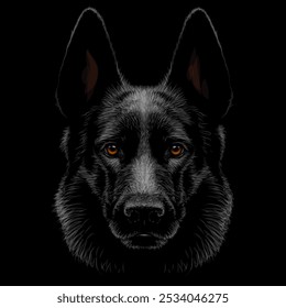 German Shepherd on a black background. Digital vector graphics