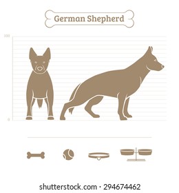 German Shepherd on the dimensional scale. Items for dogs. Face and profile. Vector illustration.