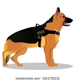 German shepherd Police dog