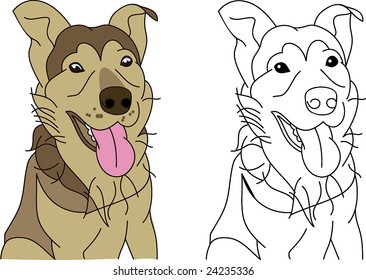 The German shepherd portrait