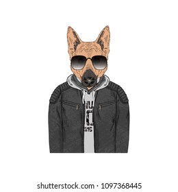 German Shepherd portrait, fashion dogs