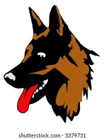 German shepherd  portrait (vector)