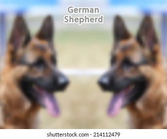 German Shepherd portrait. Vector Illustration.