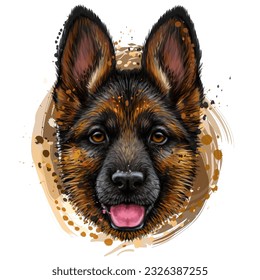 A German Shepherd puppy. Color, graphic portrait of a shepherd puppy's head in watercolor style on a white background. Digital vector graphics.