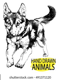 
German Shepherd Puppy runs. Cute fluffy puppy. Drawing by hand in vintage style.