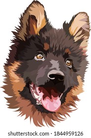 German shepherd puppy. Vector illustration, portrait, head